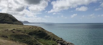 Blaenferwig