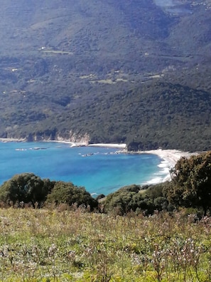 Beach - Maison Alba Rossa 55 (Serra-di-Ferro)