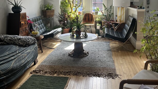 Un salon spacieux avec une grande fenêtre, une table basse ronde, un canapé et diverses plantes.