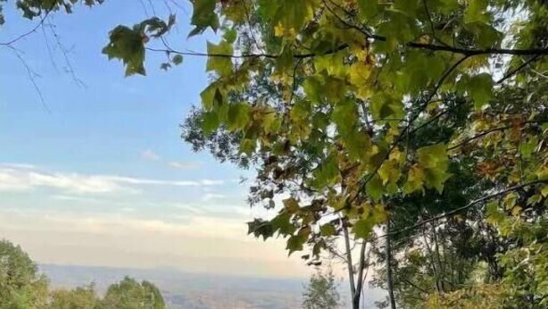 An outdoor seating area with a fire pit, surrounded by trees and a view of a valley. - Breathtaking views amid a “PEACE” of heaven! (Fancy Gap)