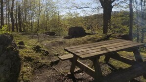 A picnic table in a forested area with trees and rocks. - Discover Melody Lodge, Ontario's Best-Kept Secret Where Tranquil Nature, Adventure, and Comfort Await. (Seeley's Bay)