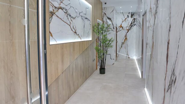 Un pasillo moderno con paredes de mármol, una planta en maceta y una obra de arte grande.