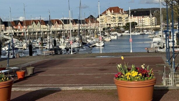 A marina with boats docked, a clear sky, and buildings in the background. - Appartement Cosy vue Port (Dives-sur-Mer)