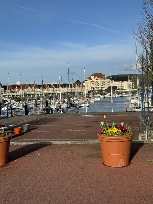 Stroll along the marina's paved walkway, surrounded by boats and residential buildings with unique architectural styles.