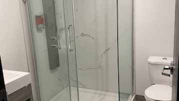 A glass-enclosed shower with a marble wall, a white toilet, and a wooden floor.