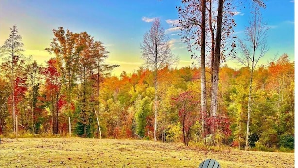 A chair in a grassy area with trees in the background.
