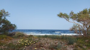 A coastal landscape with a clear sky, rocky terrain, and sparse vegetation including yellow flowers and pine trees. - Villa Ersa @home by the sea (Santorini)