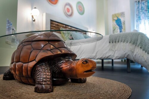 Molucano Themed Rooms