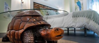 Molucano Themed Rooms