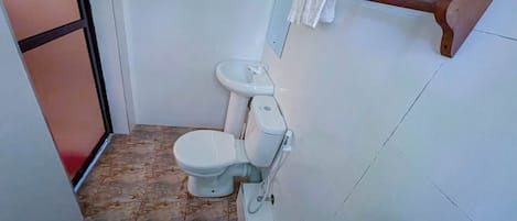 A bathroom with a toilet, a sink, and a shower area.