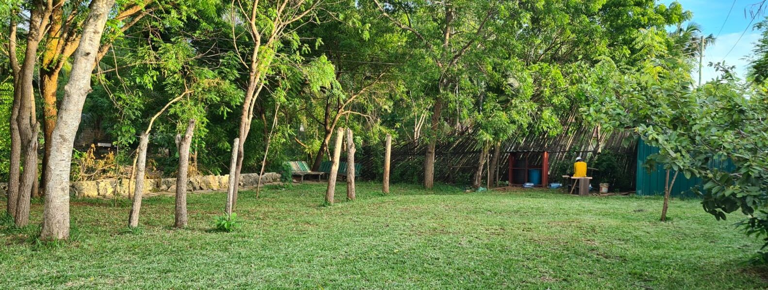 A grassy outdoor area with trees and a small structure in the background.