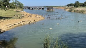A calm lake with ducks and geese, surrounded by grassy areas and a building with a dock. - Village Inn (Breckenridge)