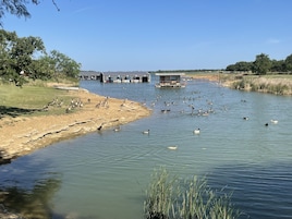 Un lago tranquilo con patos y gansos, rodeado de zonas verdes y un edificio con un muelle.
