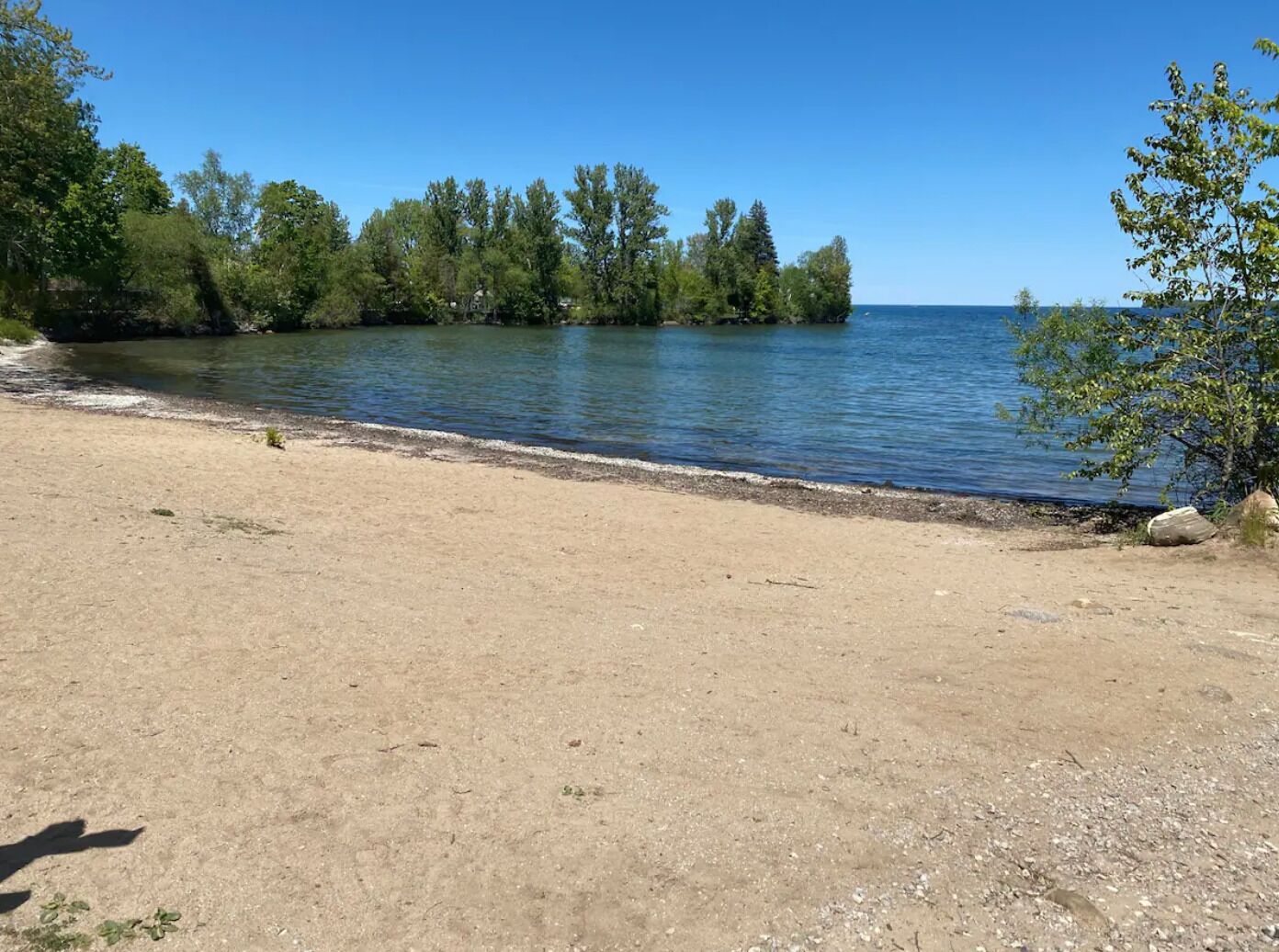 Uma praia arenosa com um lago tranquilo e árvores densas ao fundo.