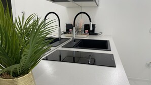 A modern kitchen with a black countertop, two sinks, and a potted plant.