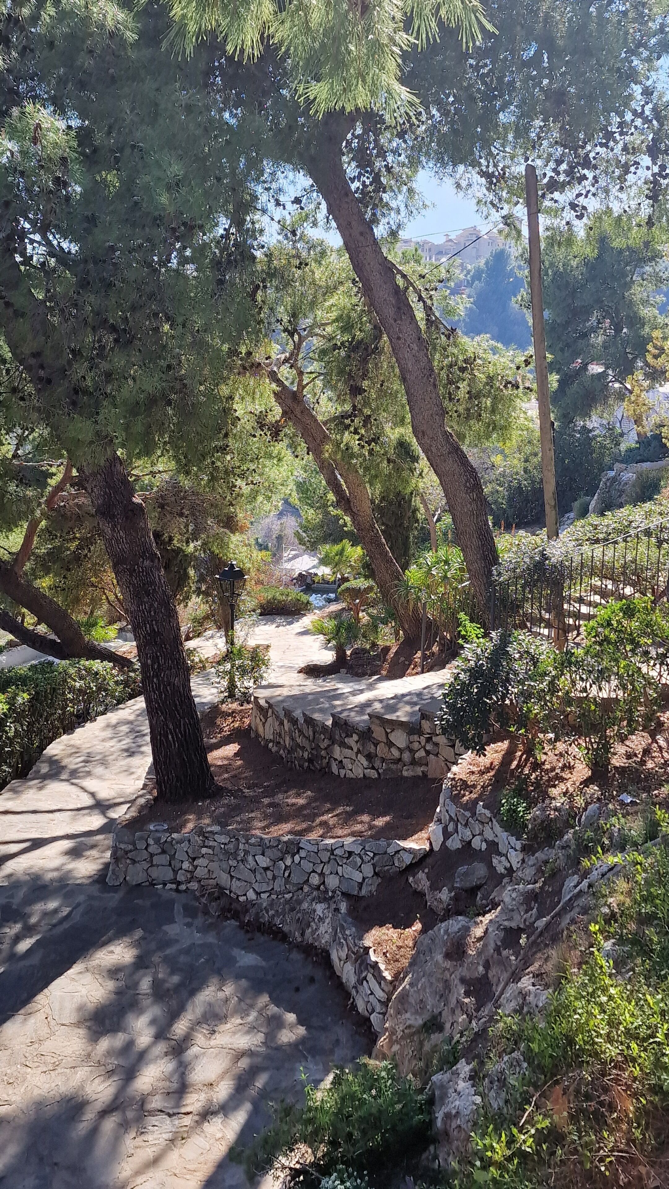 Área da propriedade