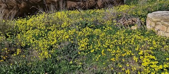 House near Camino del Rey Guadalteba Valley