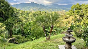 Um jardim exuberante com uma fonte de pedra, rodeado por vegetação e colinas ao fundo.