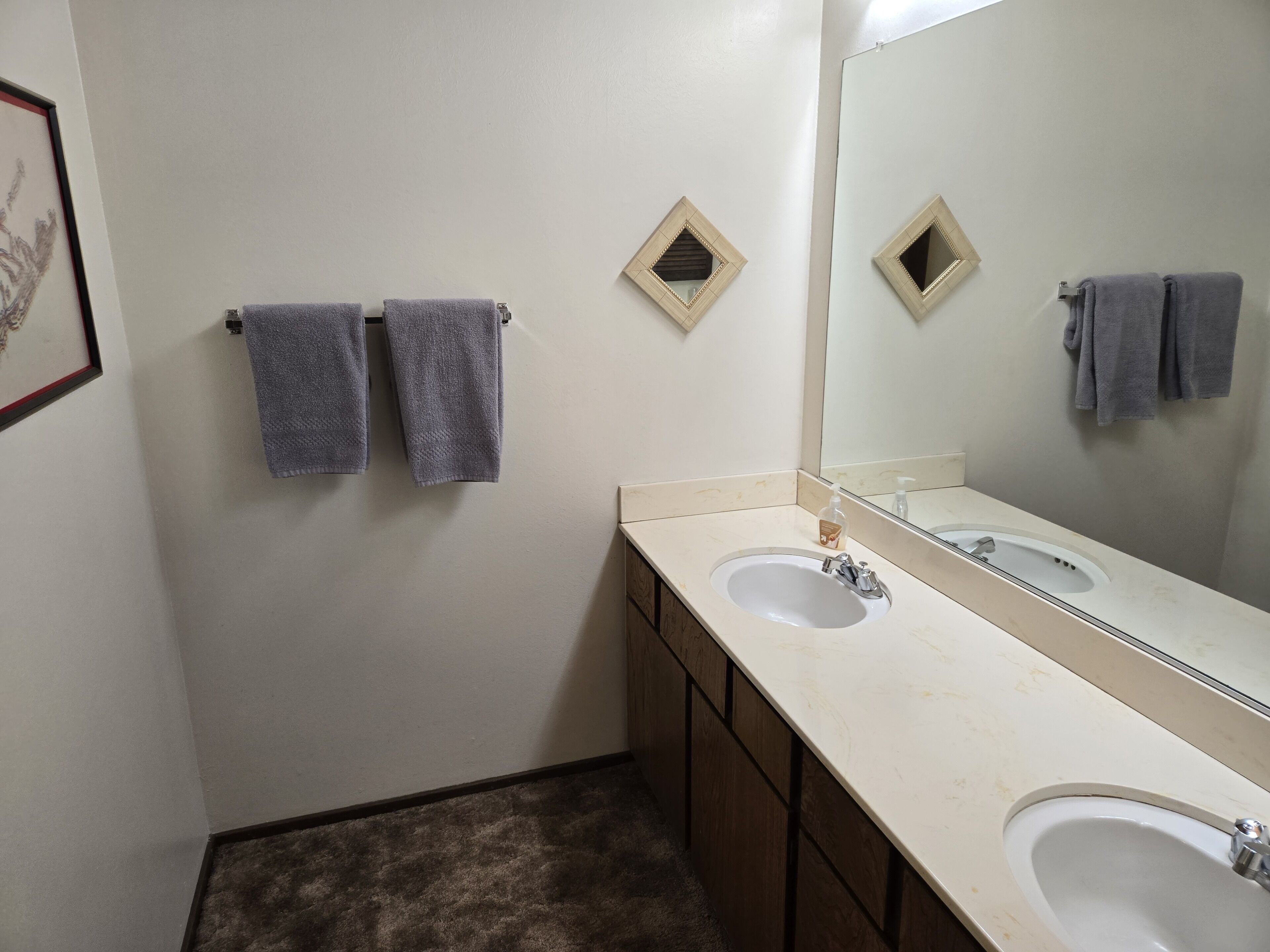 Une salle de bain avec deux lavabos, un grand miroir et des serviettes accrochées à des crochets.