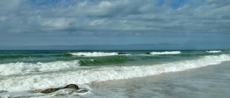 Condo, 1 King Bed (Amadeus 5) | Beach