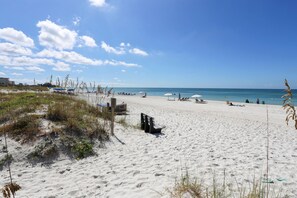 Beach - C7-dolphin (Madeira Beach)
