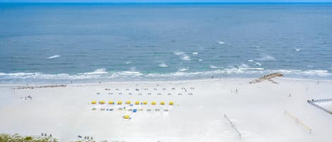 Condo, 1 King Bed with Sofa bed (Caprice 401) | Beach | On the beach