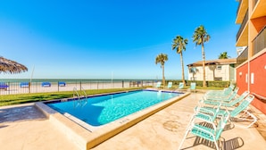 A swimming pool with lounge chairs, a palm tree, and a view of the ocean. - Emerald Isle 204 (North Redington Beach)