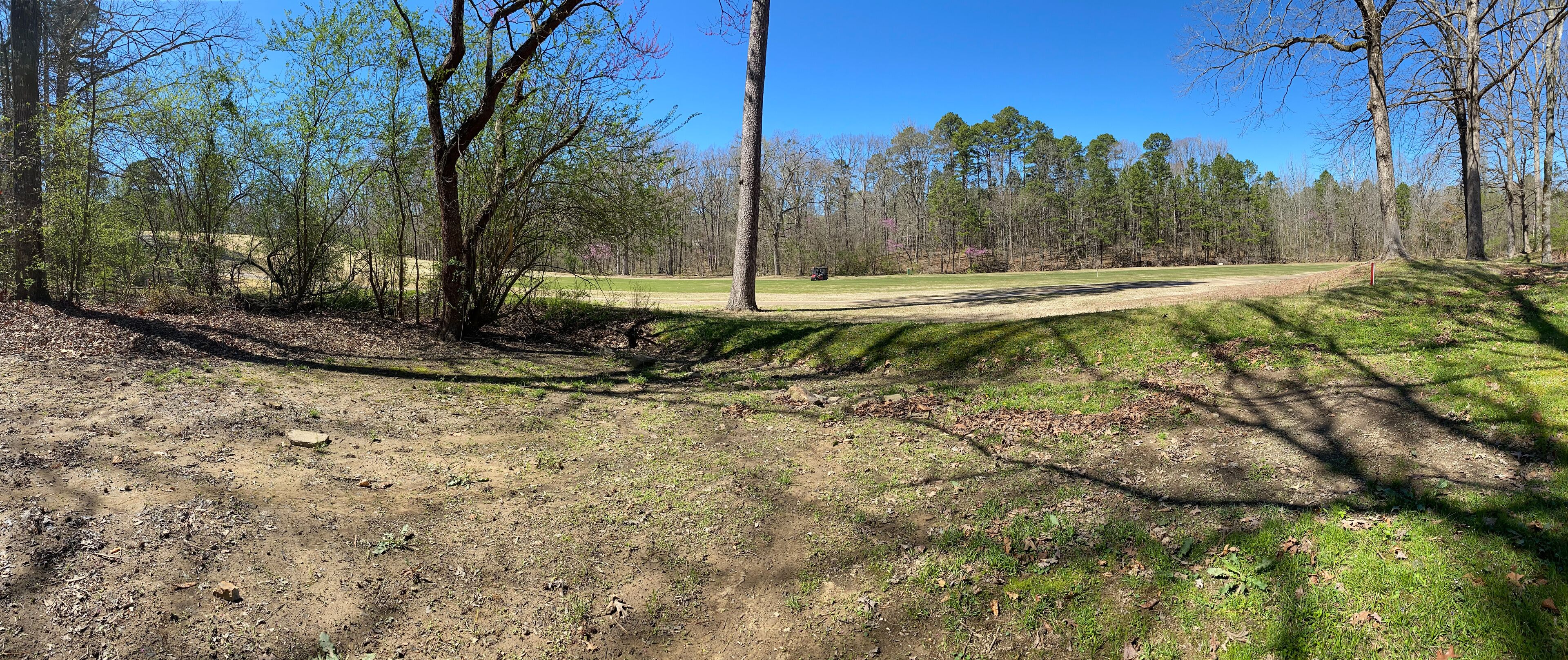 A dirt path leading through a wooded area with a grassy field in the distance.