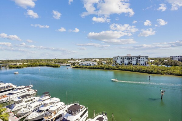 A marina with multiple boats docked, a clear sky, and buildings in the background.