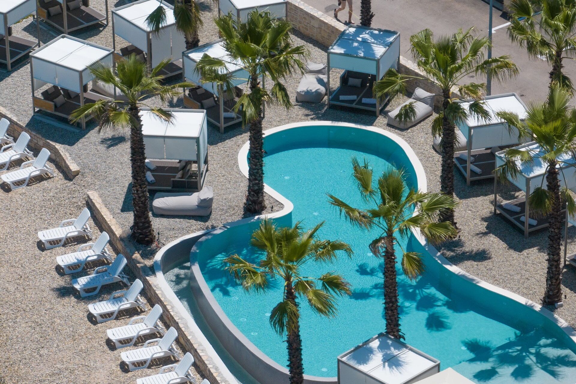 A pool area with lounge chairs and palm trees.