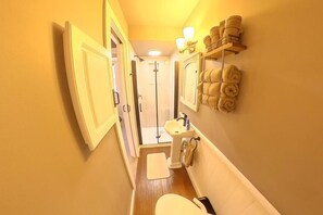 Shower, hair dryer, bidet, towels