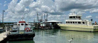 Cozy cottage located in the heart of the Mayport fishing village. Pool & Patio!