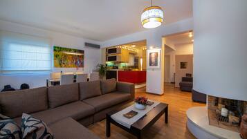 Smart TV, fireplace, books