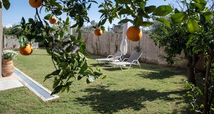 Cozy apartment with a large and beautiful garden suitable for relaxation.
