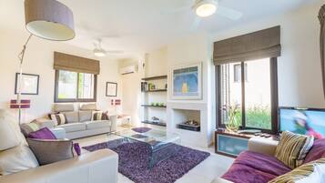 TV, DVD player, books