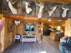 Living area - Riverside Retreat Cabin on the banks of Little River. (Horatio)