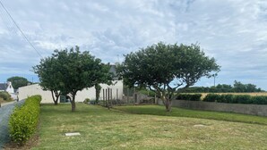 A grassy yard with two trees, a white building, and a hedge.