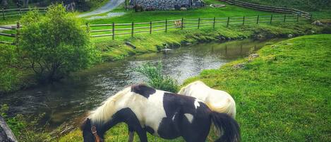 Jardines del alojamiento