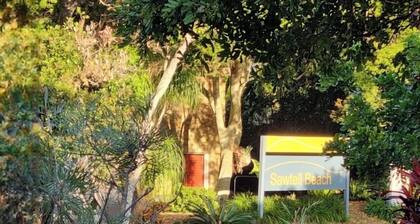 Sand and Sea 1 Sawtell