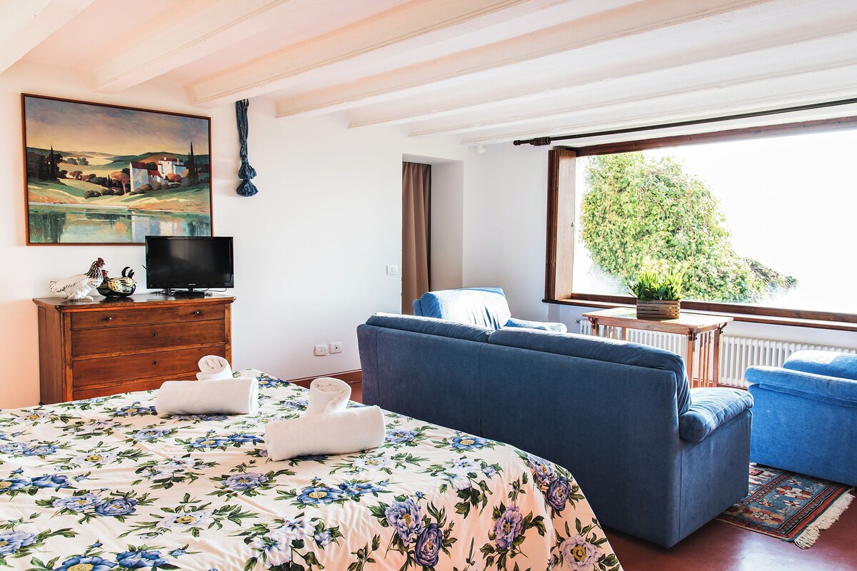 A bedroom with a bed, a television, a dresser, a blue sofa, and a window with a view of greenery.