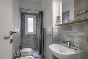 Shower, hair dryer, bidet, towels