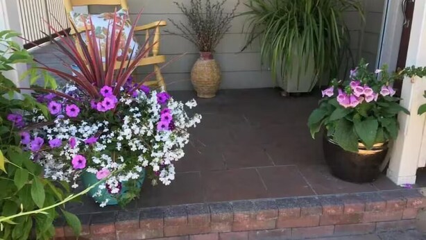A front porch with a wooden chair, a potted plant, and a flower arrangement. - Charming cozy cottage downtown Petaluma (Petaluma)