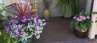 Charming cozy cottage downtown Petaluma