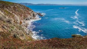 A coastal landscape with rocky cliffs and a clear blue sea. - Charming cozy cottage downtown Petaluma (Petaluma)