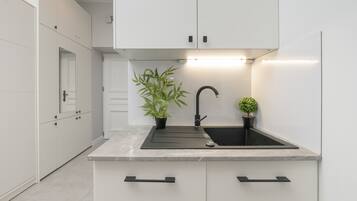 Microwave, dishwasher, coffee/tea maker, cookware/dishes/utensils