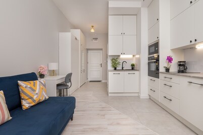 Charming Studio in Łódź by Renters