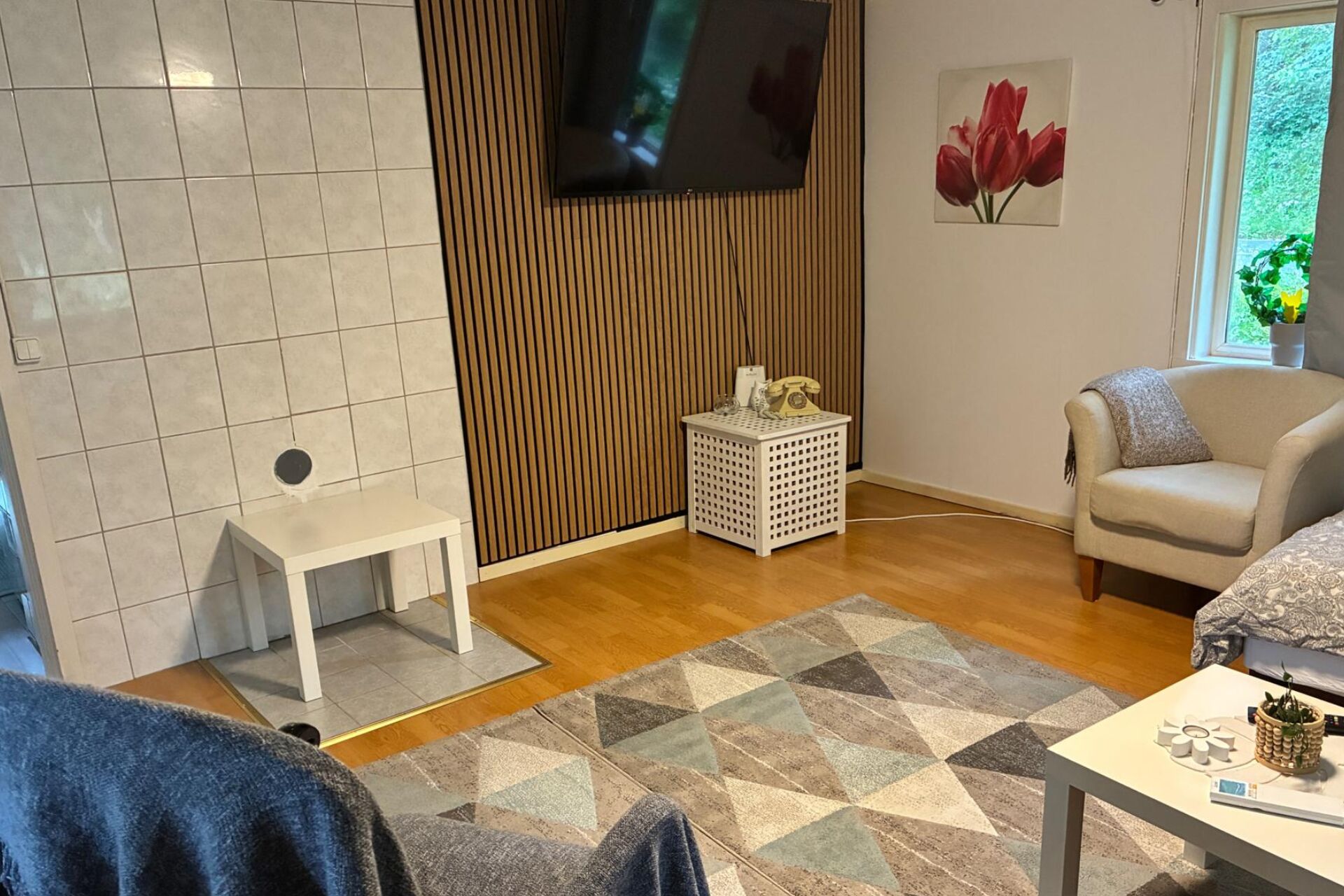 電視、壁爐