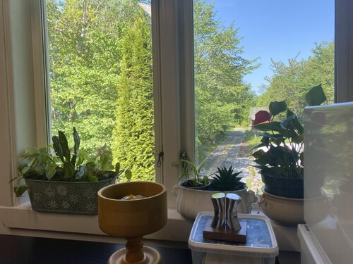 Great Location, Great Price!