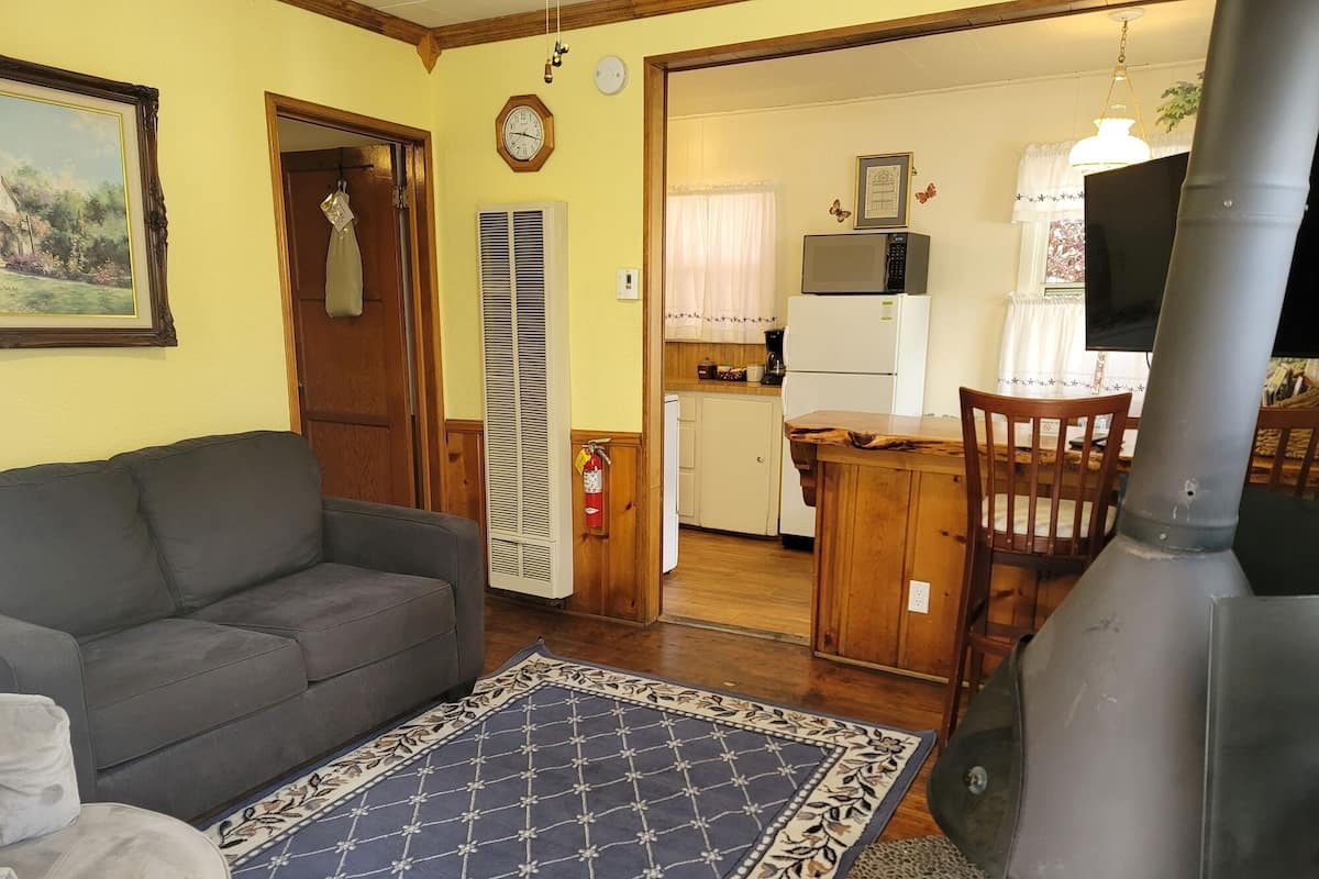 A living room with a sofa, a patterned rug, a fireplace, and a kitchen area visible through an open door.