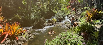 OWL NEST: serene stream side retreat for 2 or 3